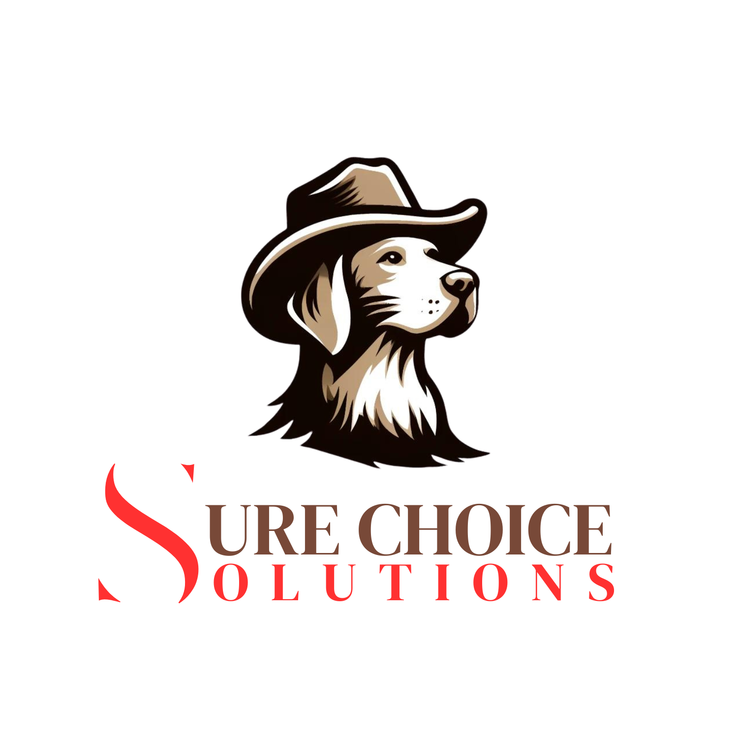 Sure Choice Solutions